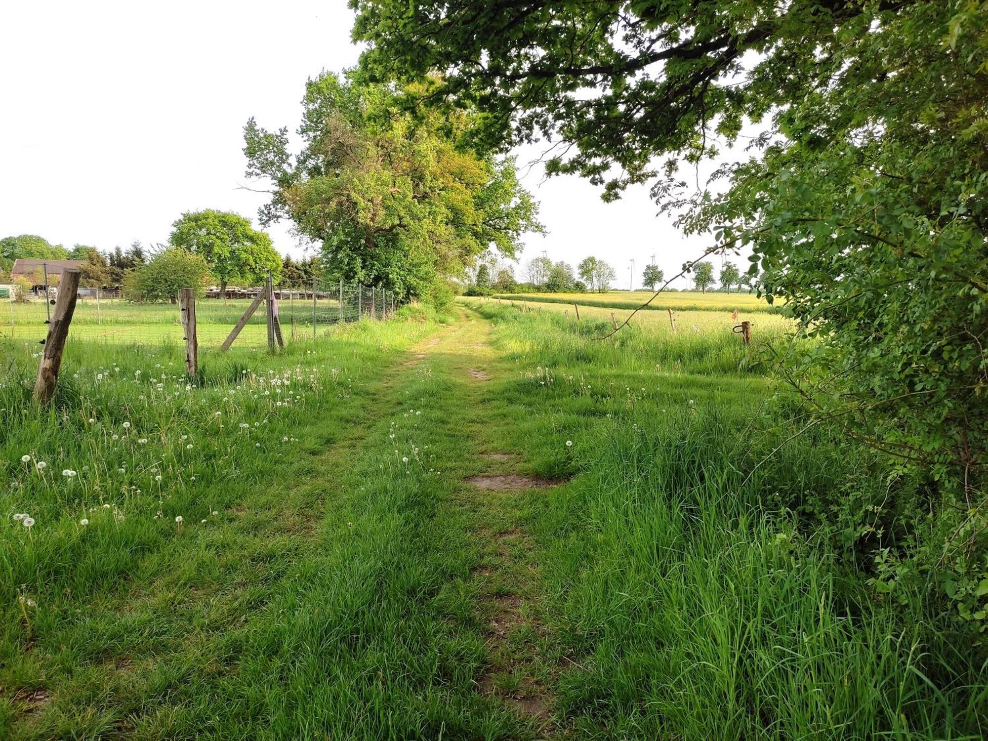 Ferienwohnung Steffenshagen Pritzwalk Buitenkant foto