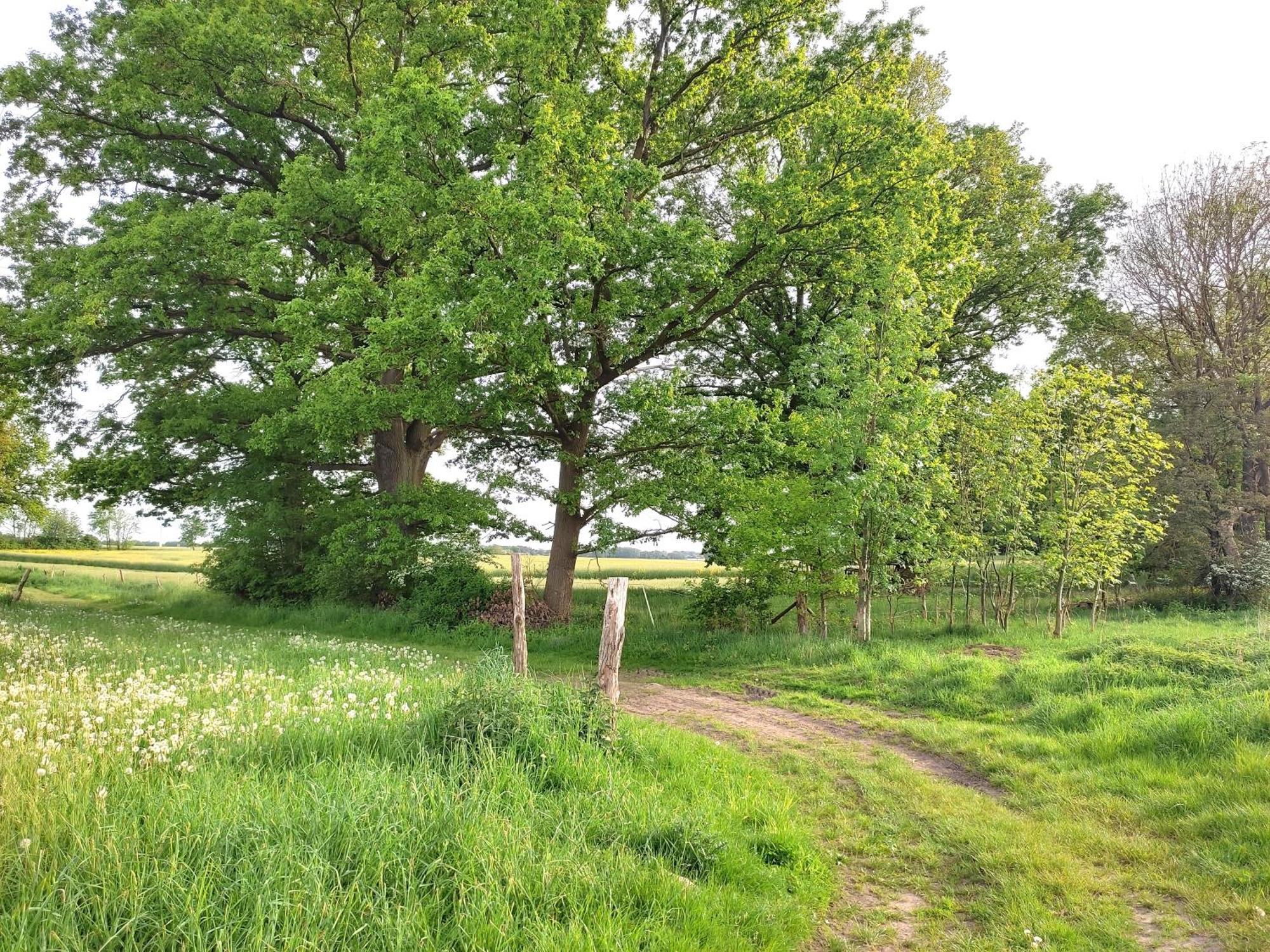 Ferienwohnung Steffenshagen Pritzwalk Buitenkant foto